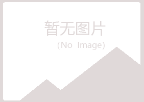 青岛四方心痛工程有限公司